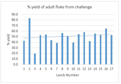 Ridgeway Research Ltd| Yeild of adult fluke from challenge