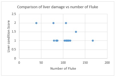Ridgeway Research Ltd| Comparison of liver damage vs number of fluke
