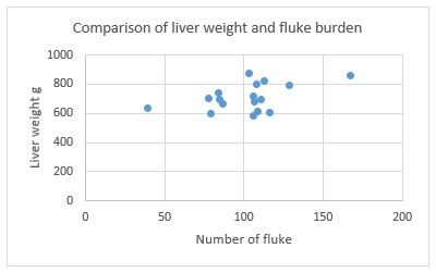 Ridgeway Research Ltd | Comparison of liver weight and fluke burden
