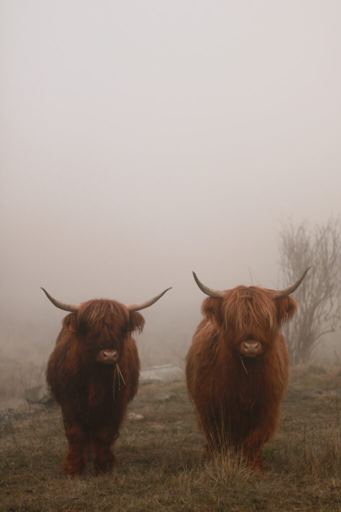 Often land used for grazing is not suitable for other purposes, such as growing crops.